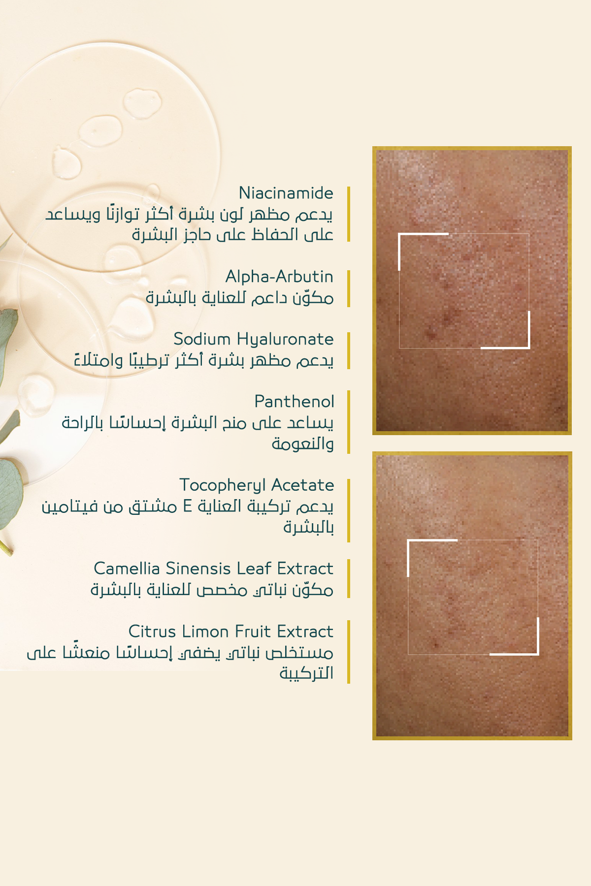 كريم تفتيح التصبغات – FACEUPSKIN® Spot Cream ‏40 مل