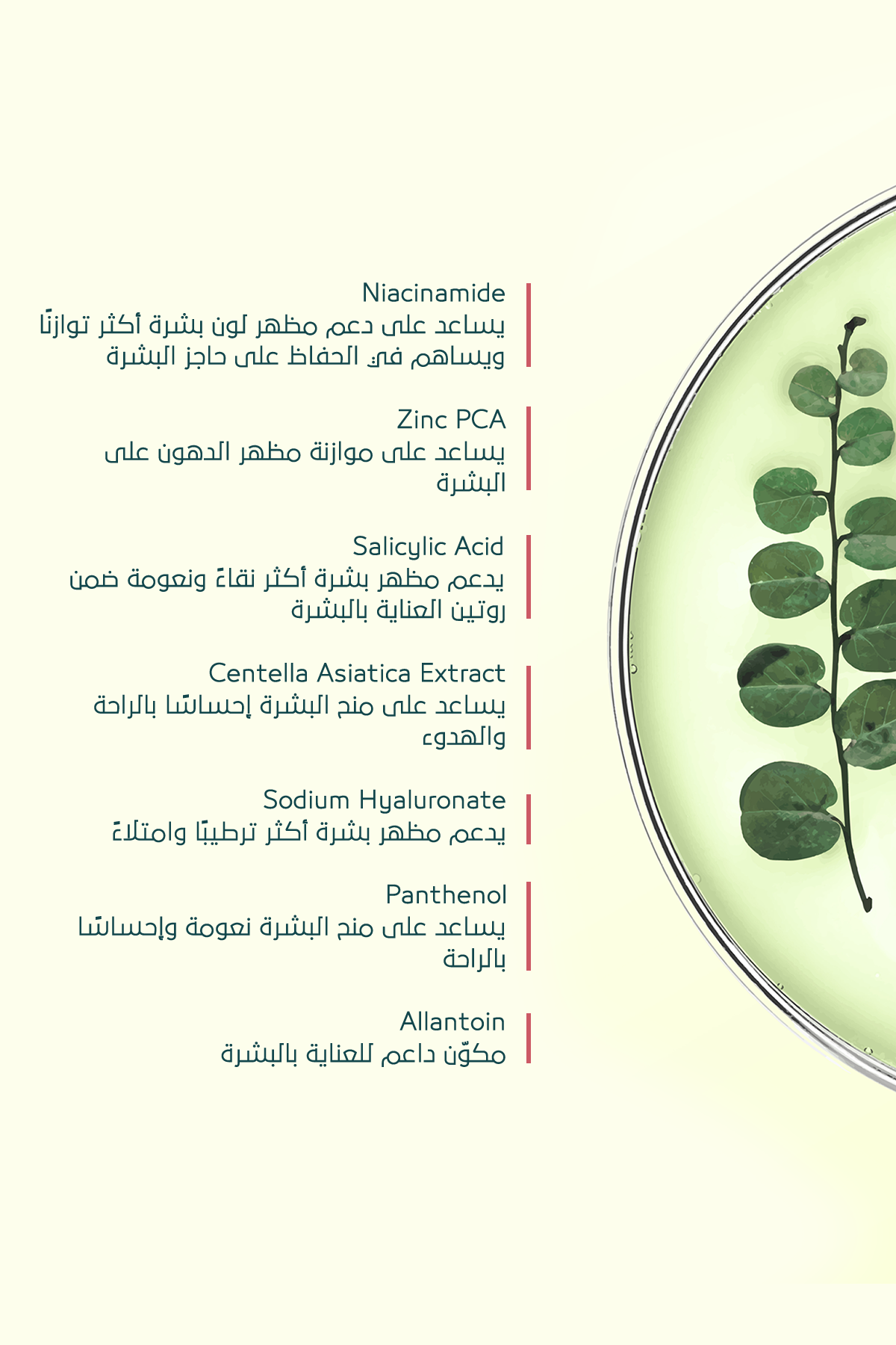 تأثير مثالي لحبّ الشباب والبثور – FACEUPSKIN® Acne Cream ‏40 مل