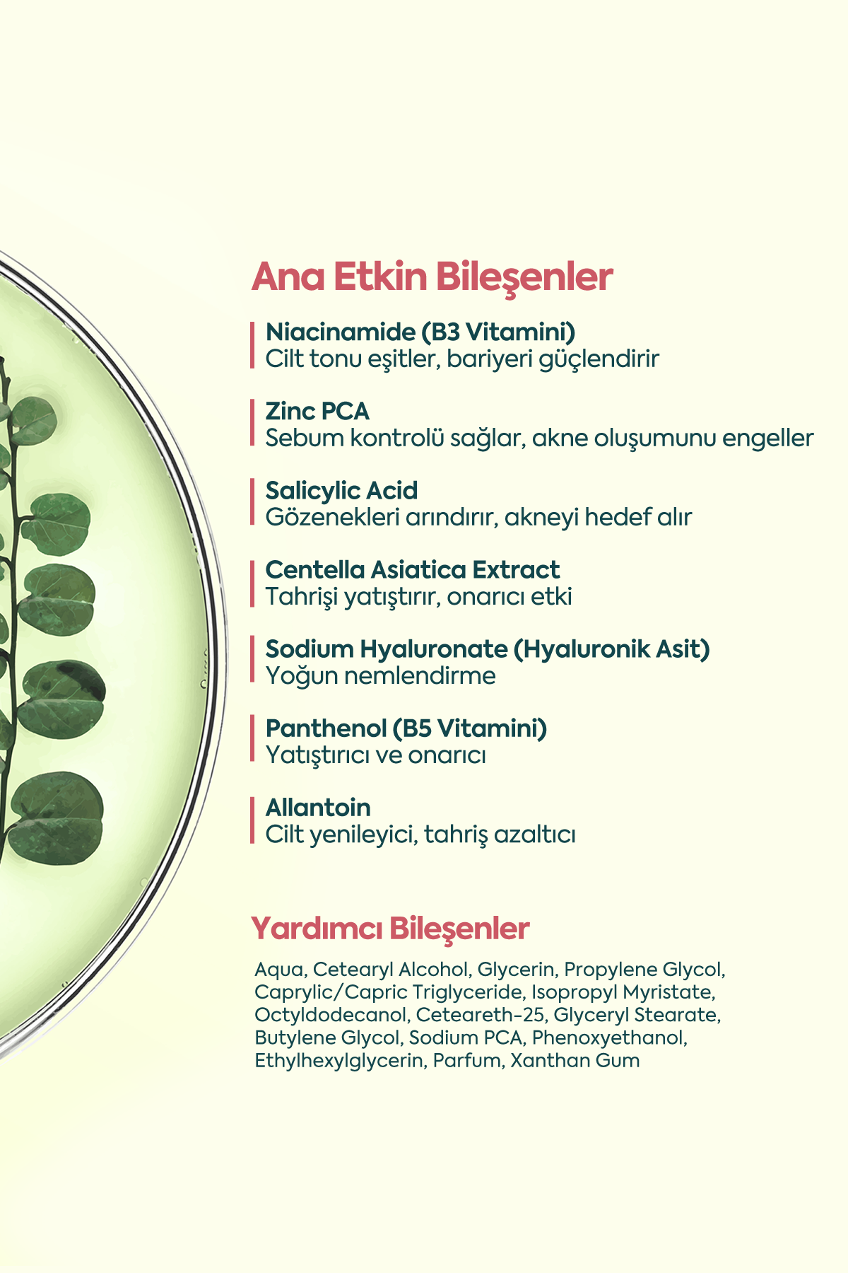 Akne ve Sivilceler için Mükemmel Etki - كريم حب الشباب FACEUPSKIN® 40 مل